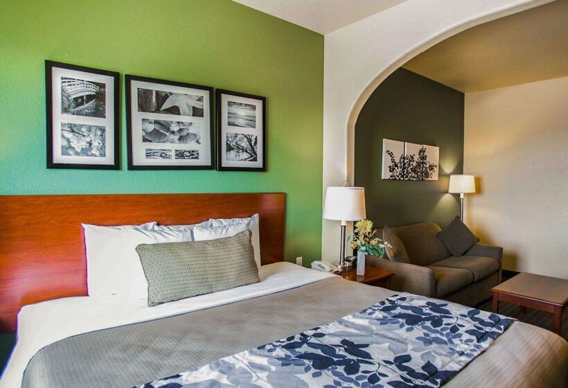 Отель Sleep Inn & Suites Near Palmetto State Park