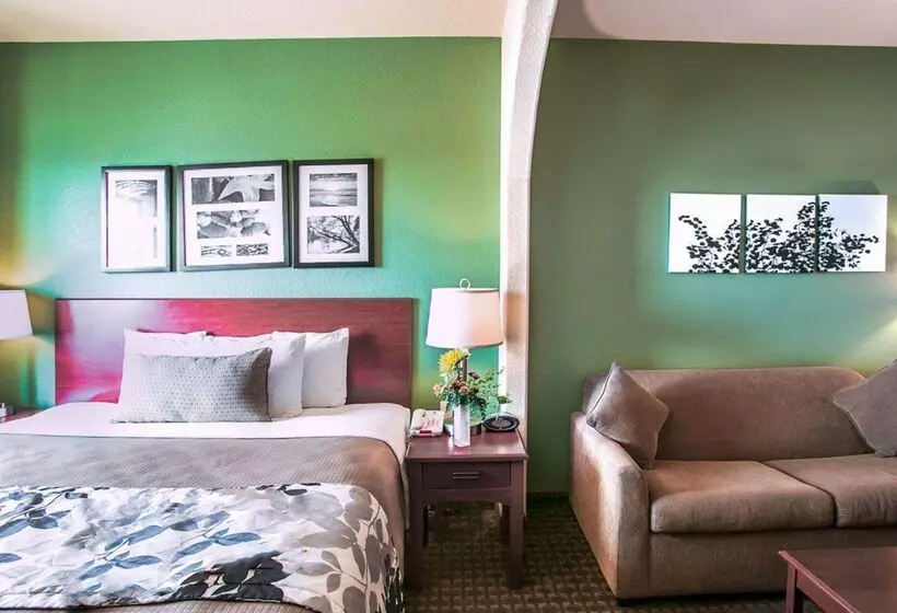 호텔 Sleep Inn & Suites Near Palmetto State Park