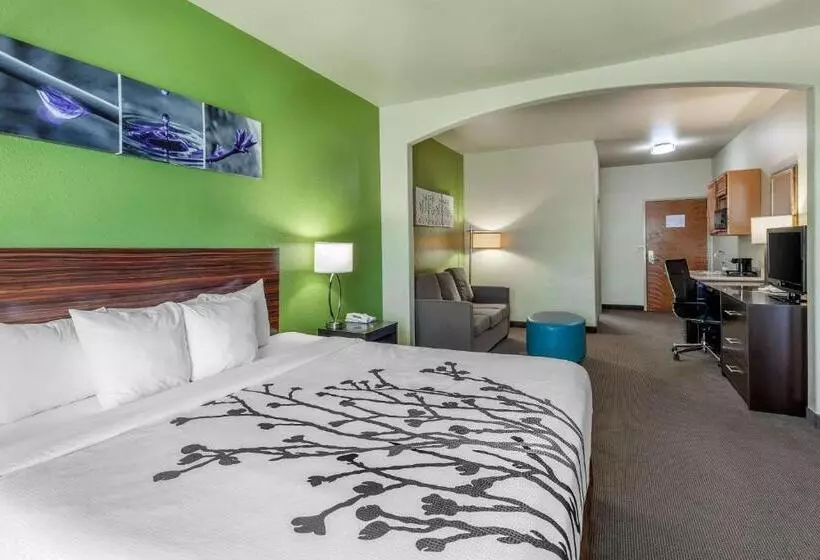 Отель Sleep Inn & Suites Hewitt  South Waco