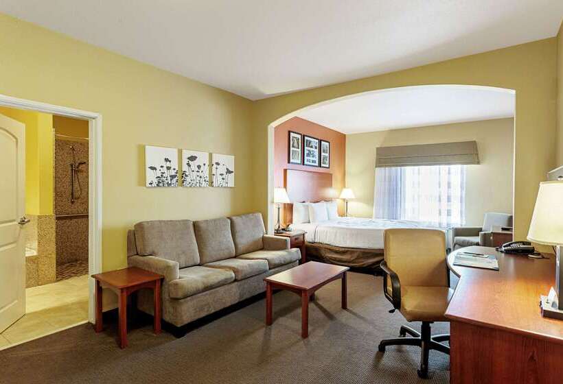 هتل Sleep Inn & Suites Tyler South