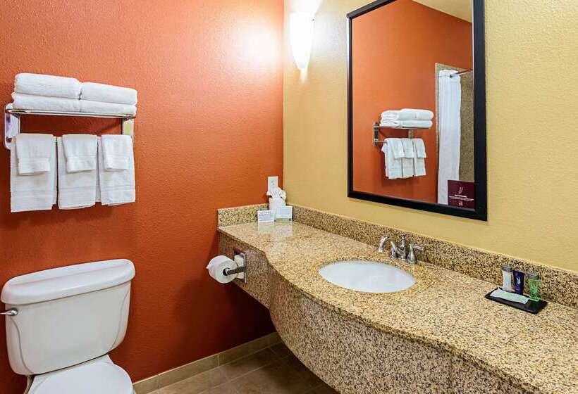 هتل Sleep Inn & Suites Tyler South