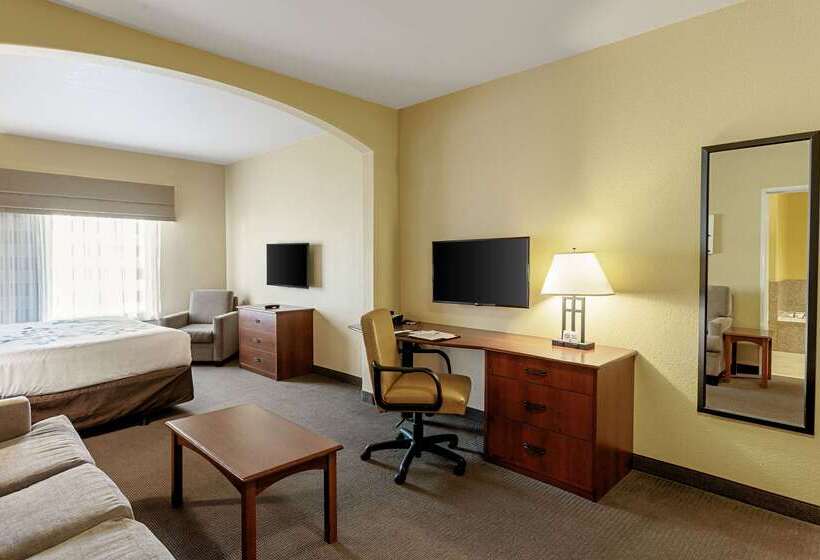 هتل Sleep Inn & Suites Tyler South