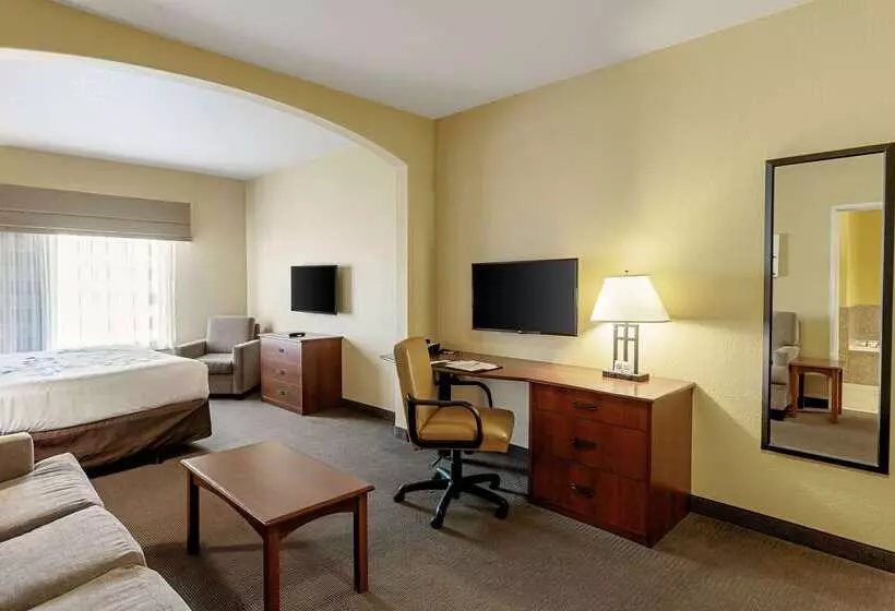Отель Sleep Inn & Suites Tyler South