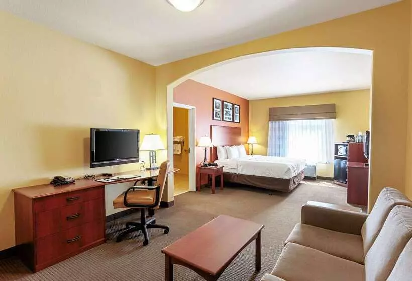 Отель Sleep Inn & Suites Tyler South