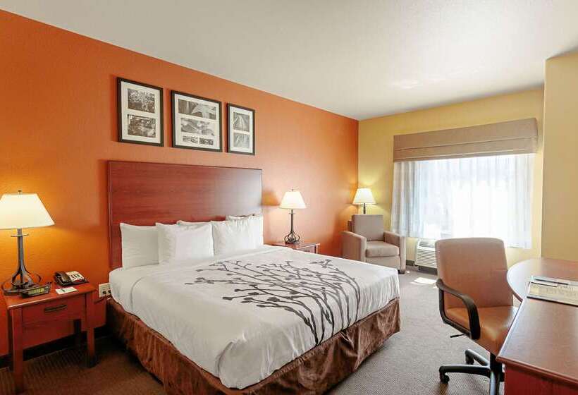 هتل Sleep Inn & Suites Tyler South