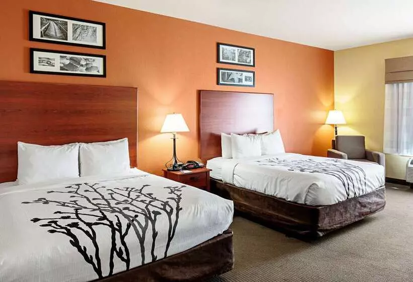 Отель Sleep Inn & Suites Tyler South