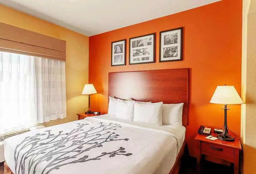 Отель Sleep Inn & Suites Tyler South