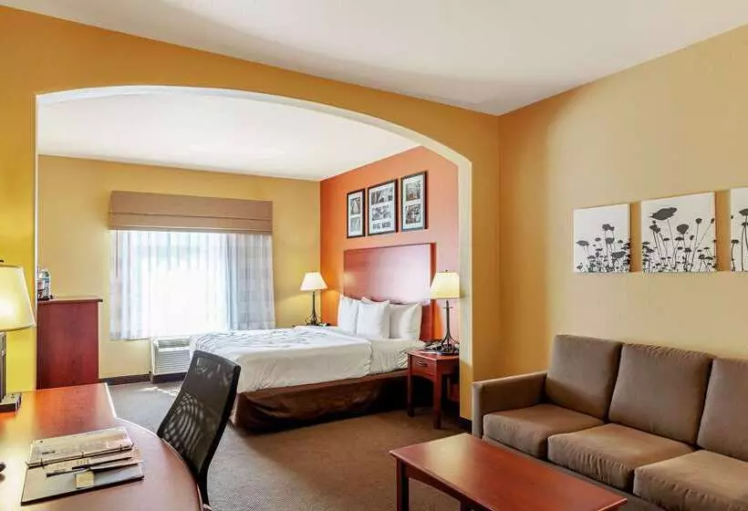Отель Sleep Inn & Suites Tyler South