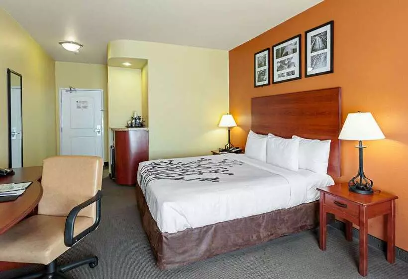 Отель Sleep Inn & Suites Tyler South