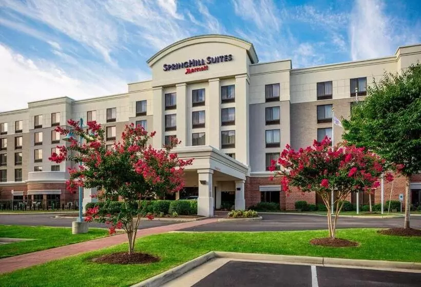 فندق Springhill Suites Hampton