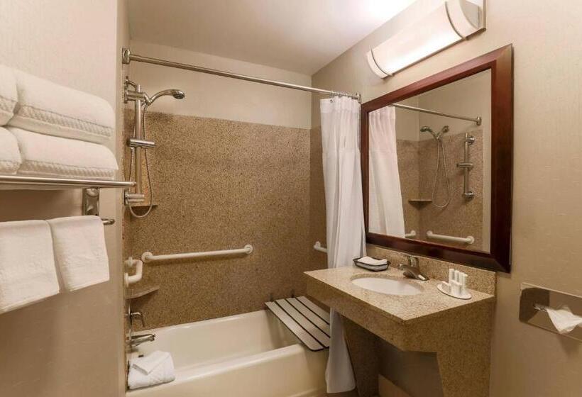 ホテル Springhill Suites Phoenix Glendale Sports & Entertainment District