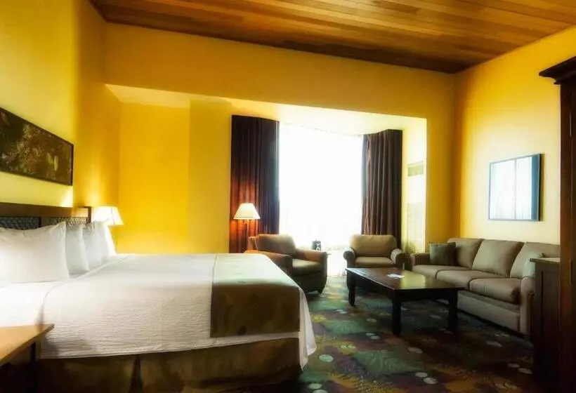 酒店 The Mill Casino