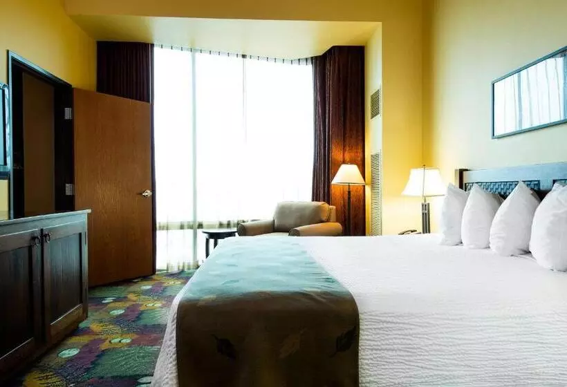 酒店 The Mill Casino