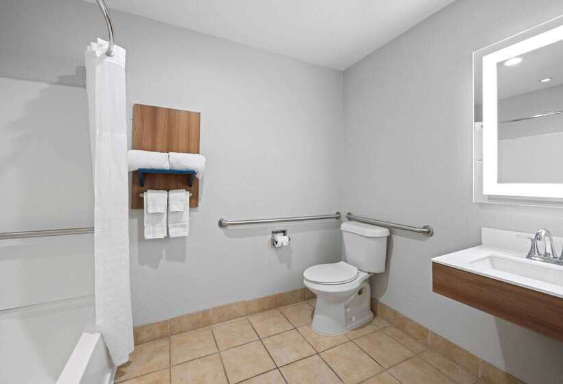 Microtel Inn & Suites By Wyndham Of Houma