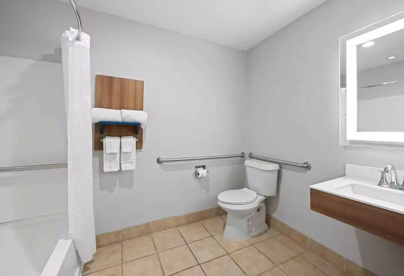 Microtel Inn & Suites By Wyndham Of Houma