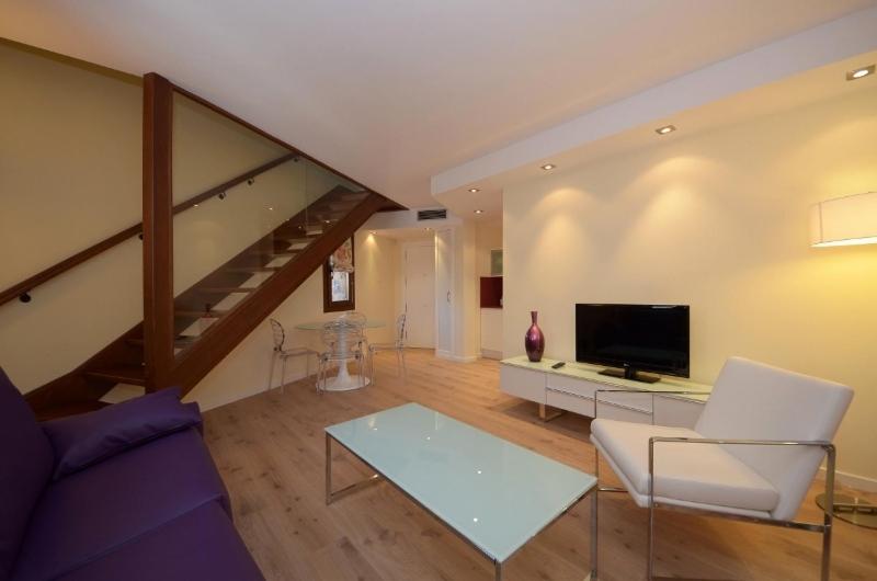 Apartamentos El Palacete De Ainsa