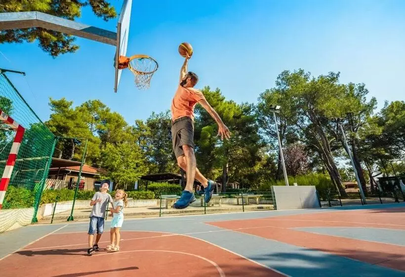 Apartments Amfora Plava Laguna