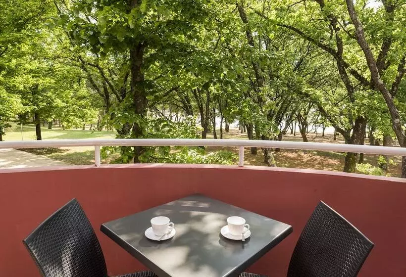 Apartments Amfora Plava Laguna