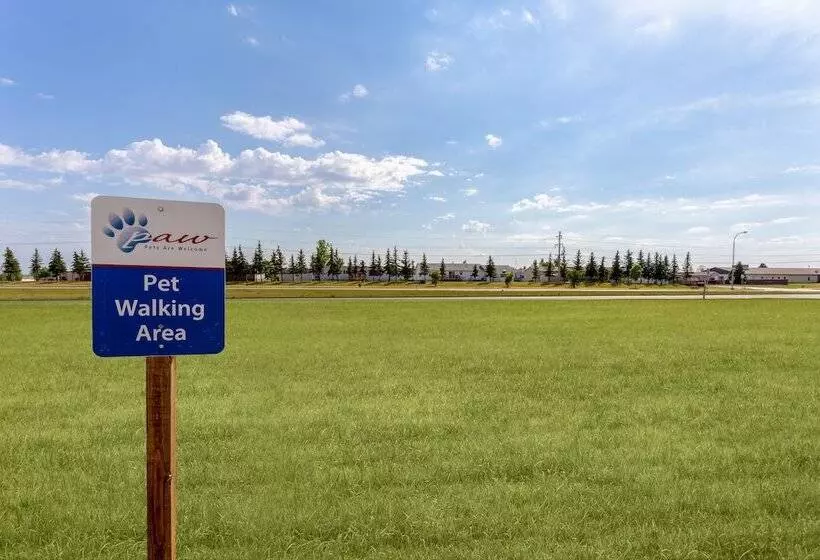 Candlewood Suites Minot, An Ihg