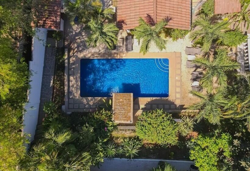 Flores   Adults Only