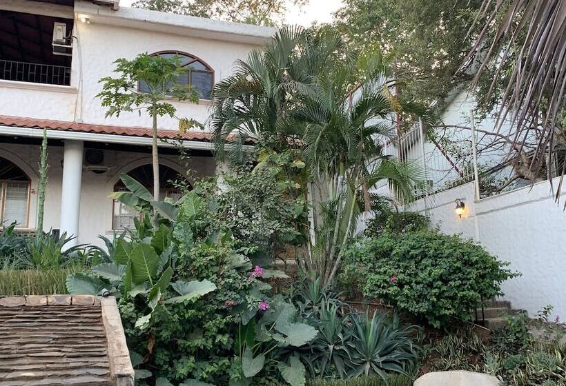 Flores   Adults Only