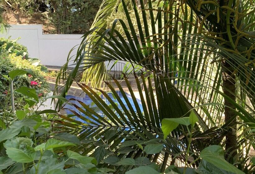 Flores   Adults Only