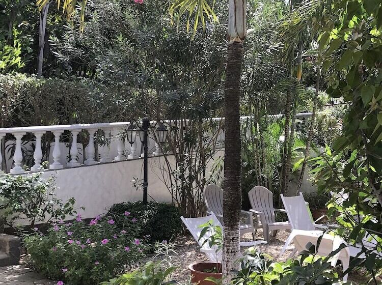 Flores   Adults Only