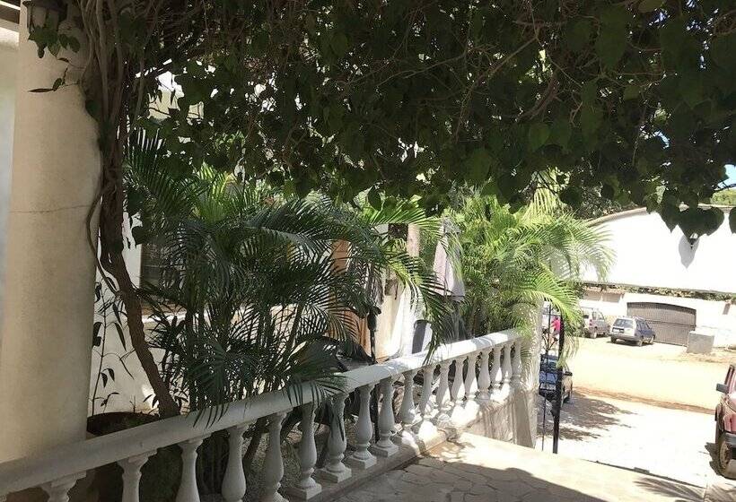 Flores   Adults Only