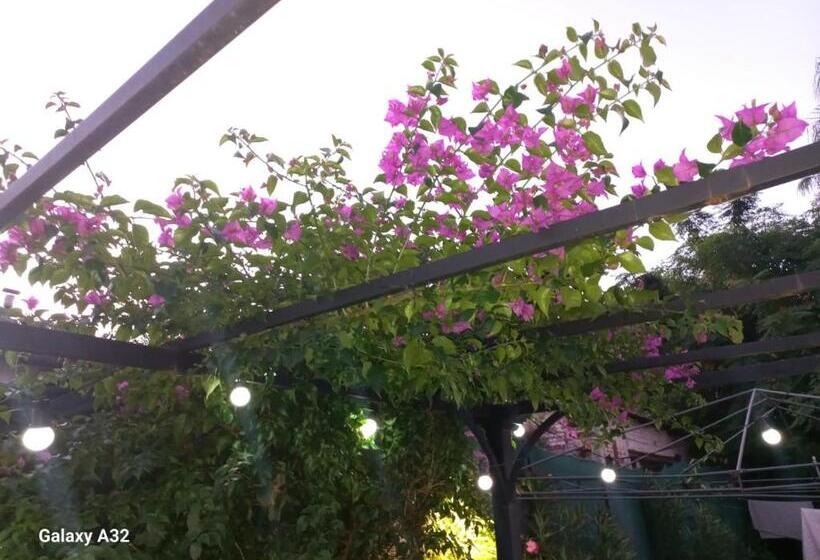 Hotel ñanderoga B&b