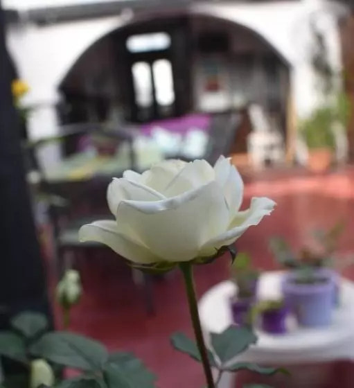 Hotel ñanderoga B&b