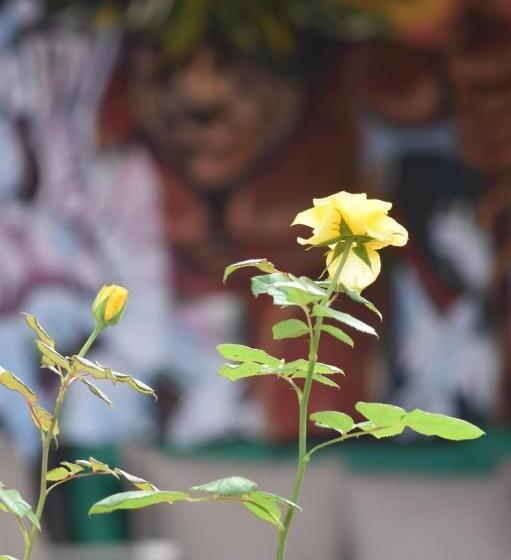 Hotel ñanderoga B&b