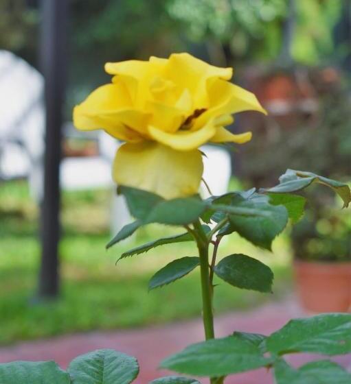 Hotel ñanderoga B&b