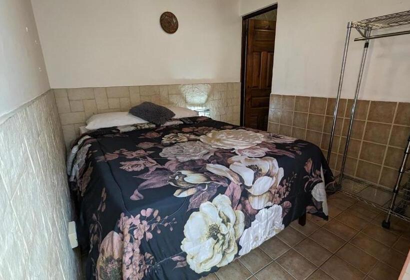 فندق Colours Oasis Resort Adult Only