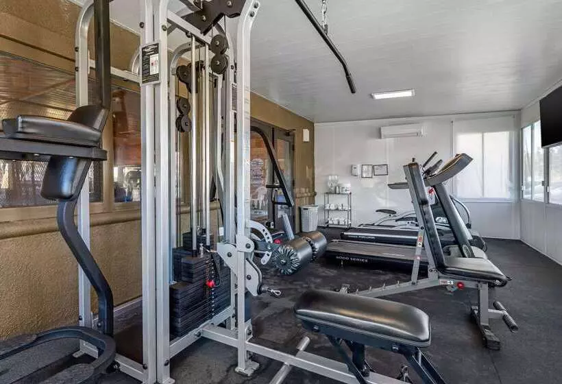 Отель Comfort Inn & Suites Murrieta Temecula Wine Country