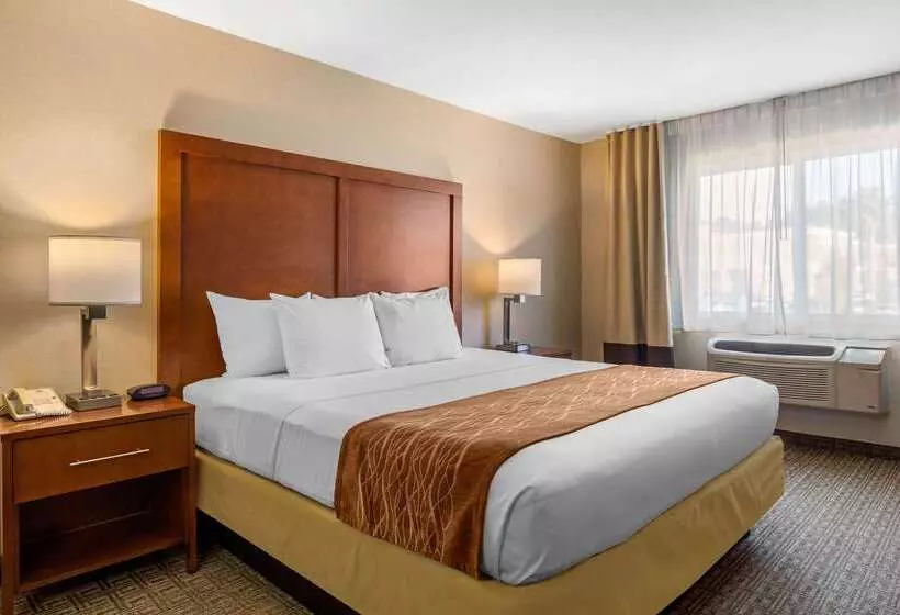 Отель Comfort Inn & Suites Murrieta Temecula Wine Country
