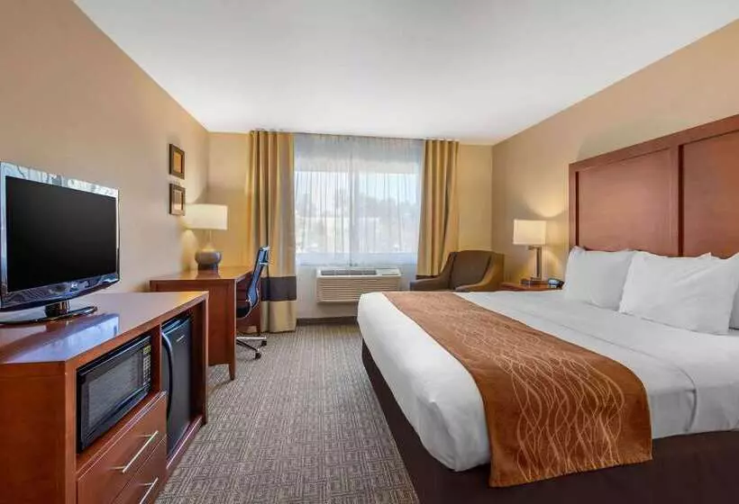 Отель Comfort Inn & Suites Murrieta Temecula Wine Country