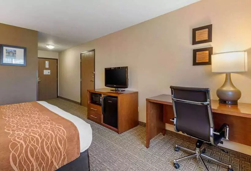 Отель Comfort Inn & Suites Murrieta Temecula Wine Country