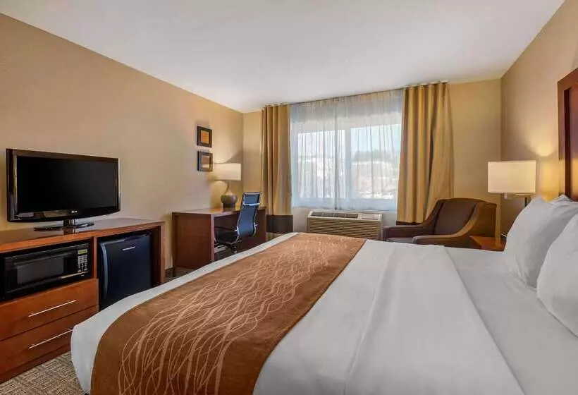 Отель Comfort Inn & Suites Murrieta Temecula Wine Country