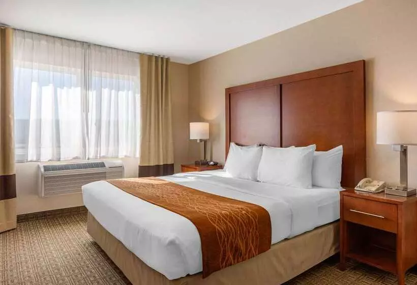 Отель Comfort Inn & Suites Murrieta Temecula Wine Country