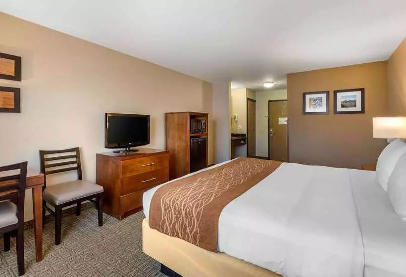 Отель Comfort Inn & Suites Murrieta Temecula Wine Country