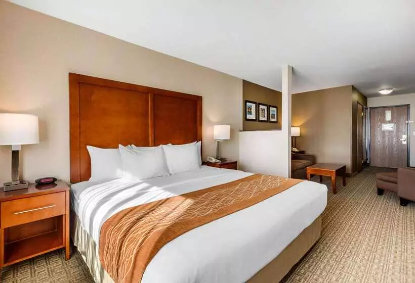 Отель Comfort Inn & Suites Murrieta Temecula Wine Country