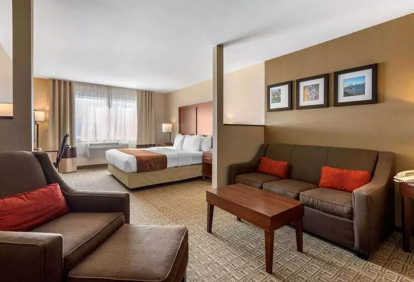 Отель Comfort Inn & Suites Murrieta Temecula Wine Country