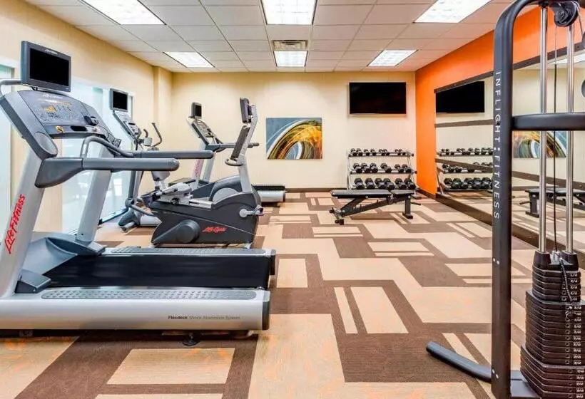 Отель Courtyard By Marriott Chicago Schaumburg/woodfield Mall