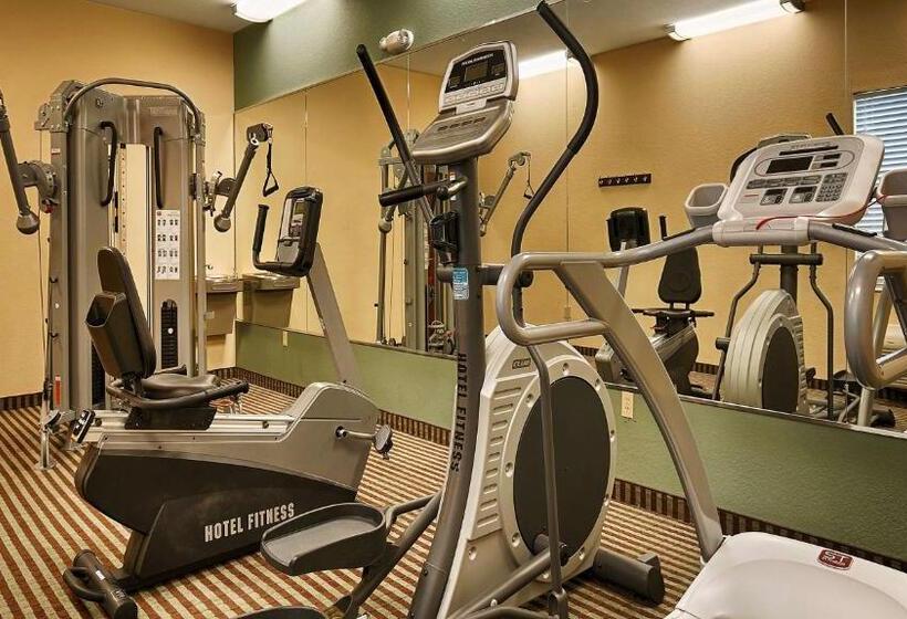 호텔 Executive Inn & Suites