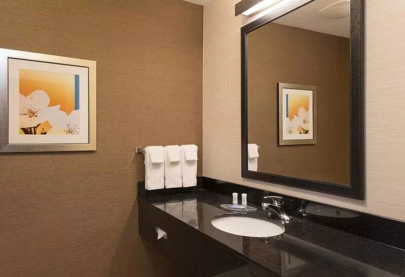 ホテル Fairfield Inn And Suites By Marriott Chicago St. Charles