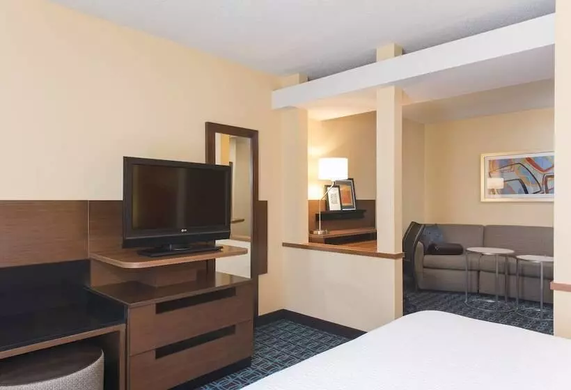 ホテル Fairfield Inn And Suites By Marriott Chicago St. Charles