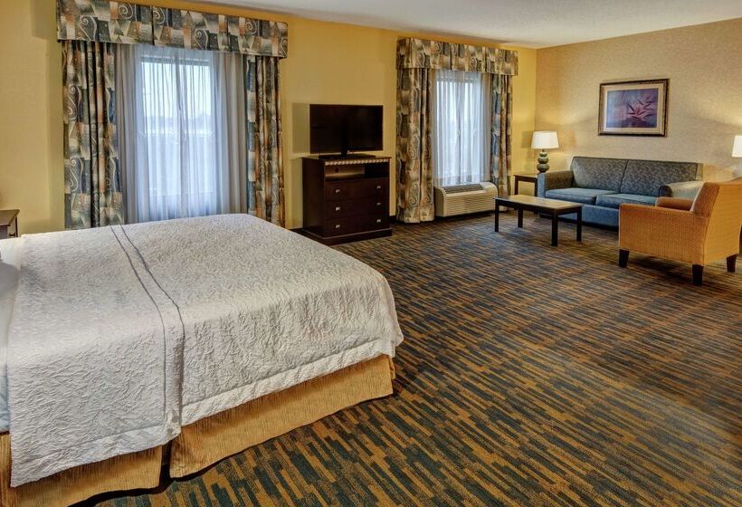 ホテル Hampton Inn Roanoke Rapids, Nc