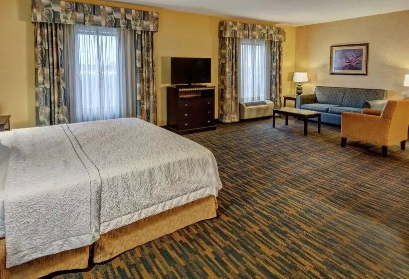 호텔 Hampton Inn Roanoke Rapids, Nc