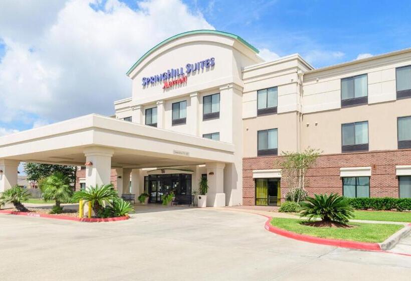 ホテル Springhill Suites Houston Pearland
