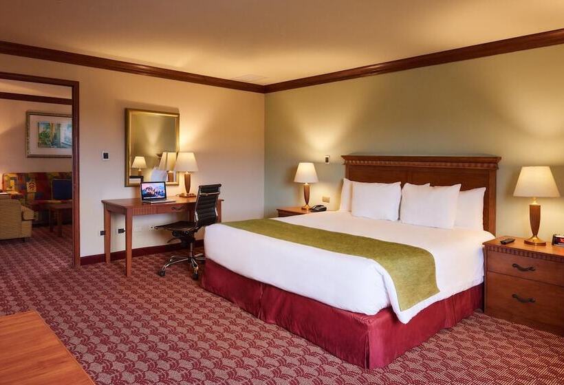 Suites Las Palmas, Hotel & Apartments